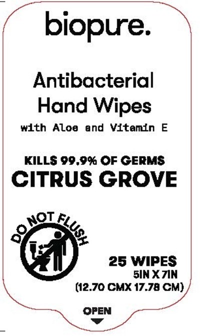 Antiseptic Wipe (Biopure Antibacterial Wipes Citrus Grove2)